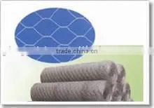 Galvanized hexagonal Wire Mesh