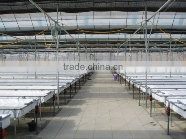 Nft Hydroponics photo-6