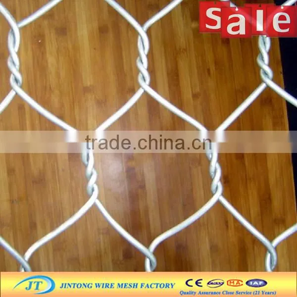 Pvc Coated Hexagonal Wire Mesh photo-4
