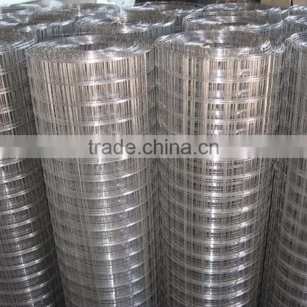 Stainless Steel Welded Wire Mesh Panel China Manufacturer photo-5