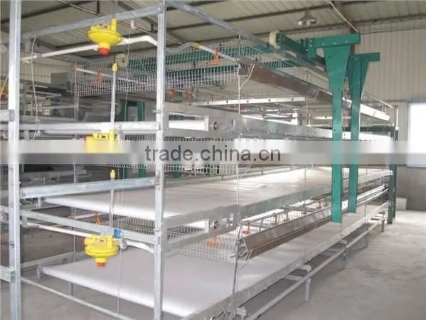 Farming Poultry Automatic Feeding System for Poultry Farming Equipment Auto. Feeding Pan System photo-6