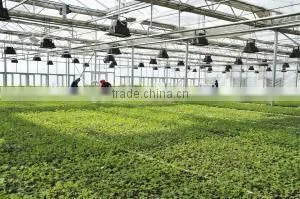 100% Bayer Raw Material Greenhouse Corrugated Plastic Polycarbonate Roofing Sheets photo-6