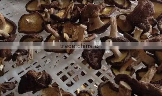 Heat Pump Fruit /fish/cassava Drying Machine photo-3