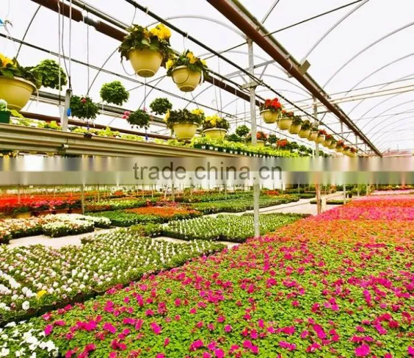 Factory Price BaoLiDa Poly Tunnel Greenhouse For Vegetables /Fruits /Crops photo-2