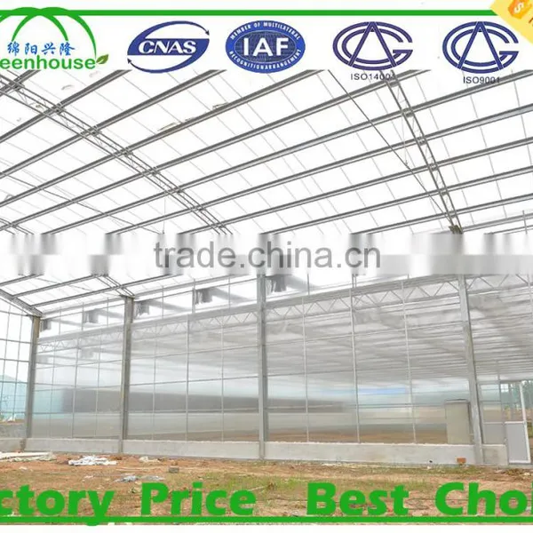 PC Sheet Greenhouses for Sale photo-6