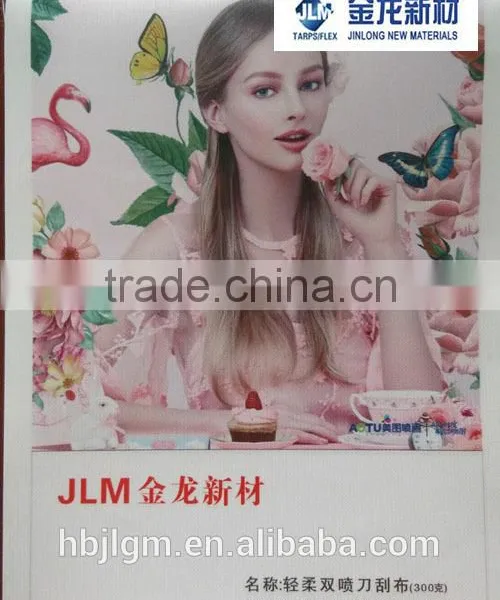 380gsm High End Backlit Pvc Flex Banner Sizes, Digital Printing Material photo-2