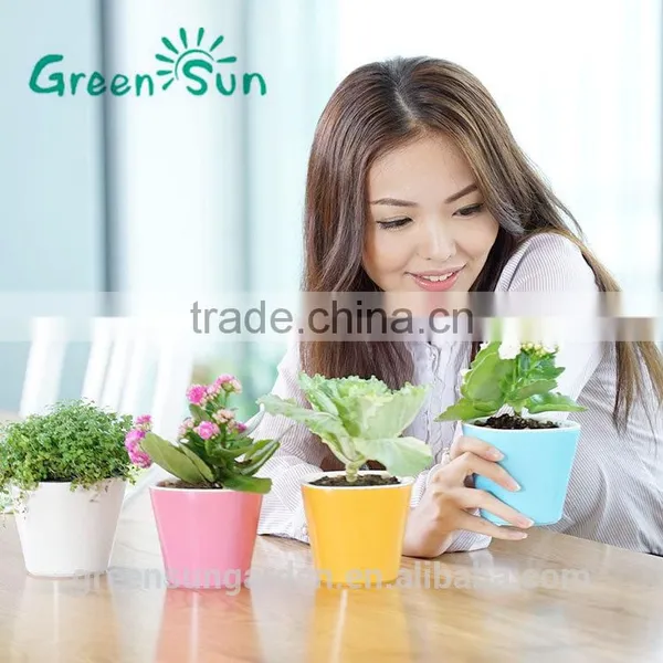 Hydroponic Bright Color Small Plastic Flower Pot for Home Garden Interior Christmas Decoration photo-3