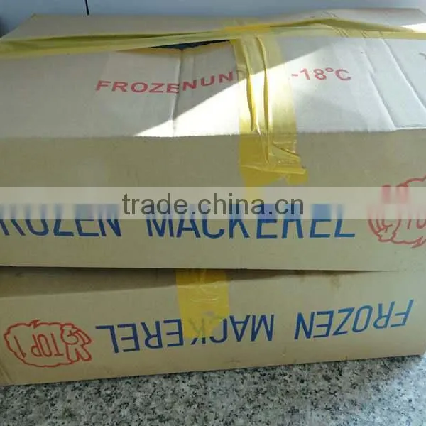 New Landing Frozen HGT Frozen Fresh Fish Pacific Mackerel for Can Company photo-2