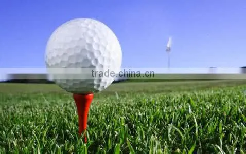 Printing Logo Plastic Golf Tee Marker photo-3