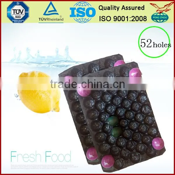China Supply Factory Price PP ProtectiveTray for Apple Packing photo-6