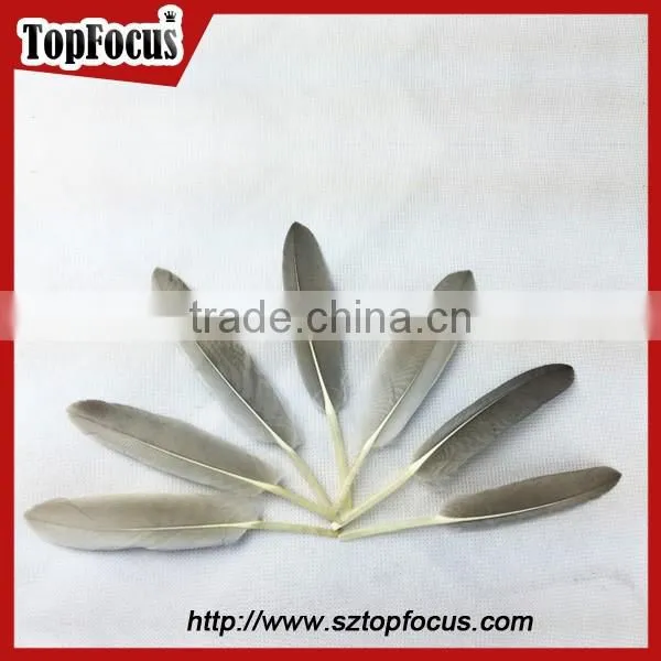 Cheap Colorf Cleaning Goose Artificial Feathers for DIY Sale Cheap photo-5