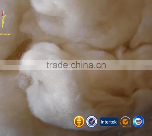 Light Grey High Quality Source of Cashmere Fibres photo-2