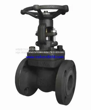 Forged Steel Valves photo-4