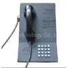 Armored Public Courtesy Phone