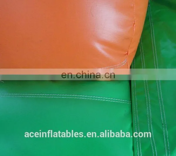 Caterpillar Theme Small Inflatable Slide for Kids photo-5