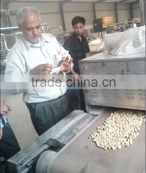 Microwave Drying Sterilizer photo-3