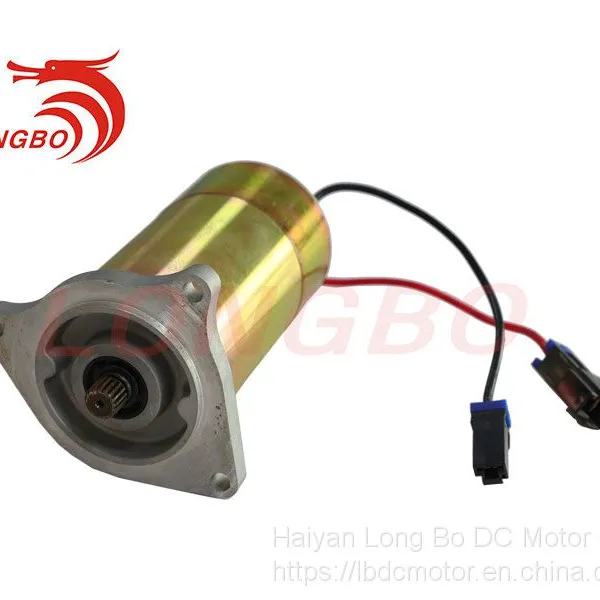 Forklift Electric Motor 48V 300W dc Motor