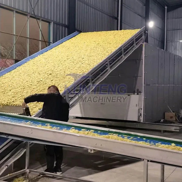 Ginger Drying Line Ginger Slicer Mesh Belt Dryer Machine Washing Cutting Line EPC photo-5