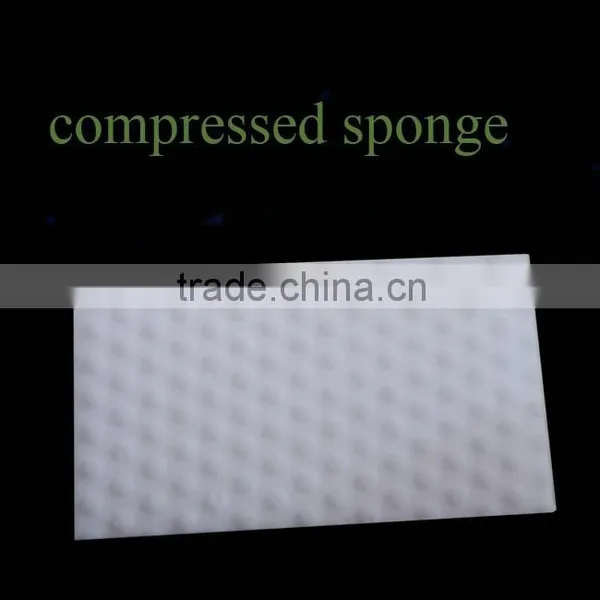 Manufacturer Wholesale Various Promotion Scouring Pad Kitchen Window Sponge photo-2