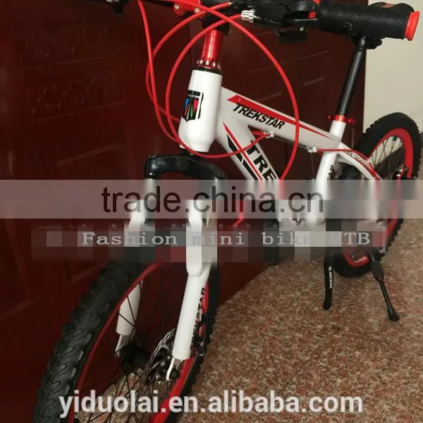 Bicycle Fashion Mini Bike MTB 10 Inches Sports Gear Steel Folding Bike Sell Like Hot Cakes photo-2