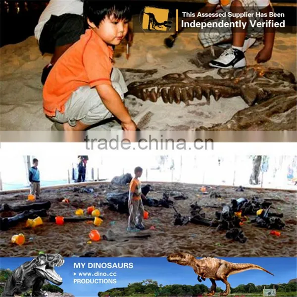 MY Dino-C094 Decorative Dinosaur Fossils Specimen photo-2