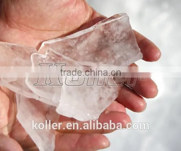 5 Ton Easy Saving Power Plate Ice Maker For Fishery photo-6