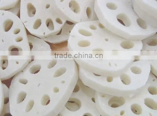 Frozen Lotus Root Prices