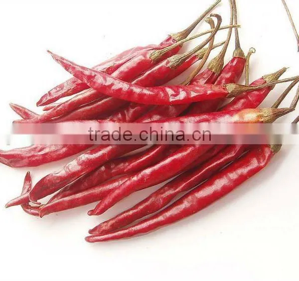we Supply Red Chilli