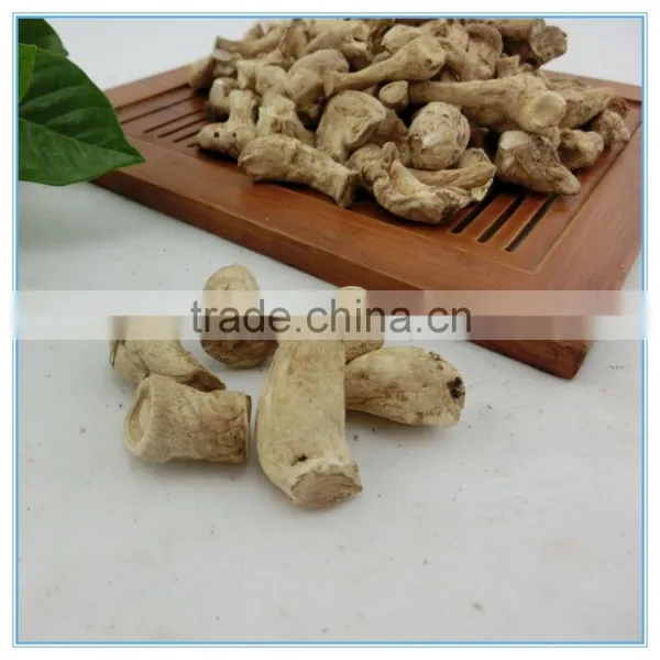 Dried Shiitake Mushroom Stem Spawn photo-4