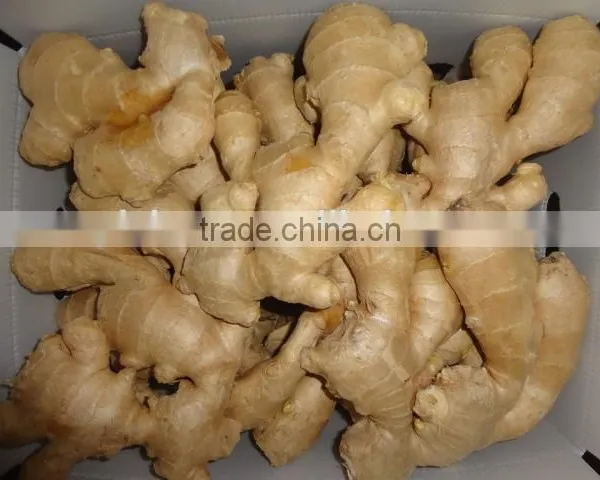 All Year Round Fresh Ginger