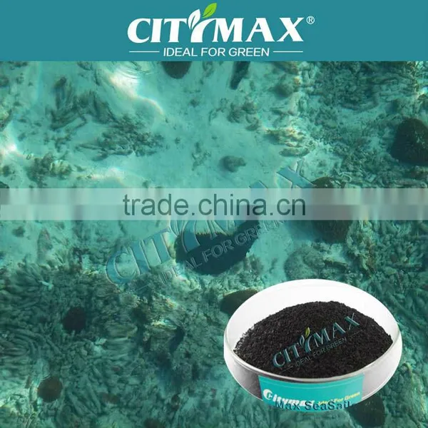 Fucoxanthin Seaweed Extract