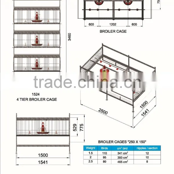 Broiler Cages photo-4