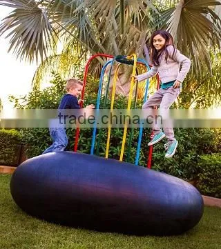 Entertainment Inner Tube photo-2