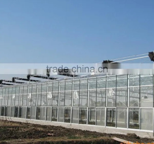 Arc Multi-span Glass Greenhouse for Strawberry photo-4