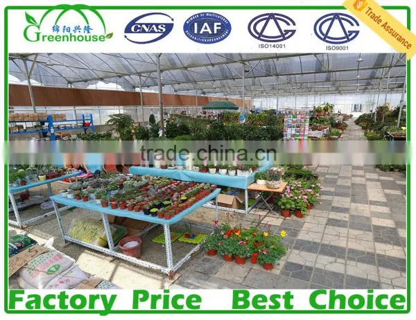Multi Span Agricultural Type Poly Film Commercial Greenhouse photo-6