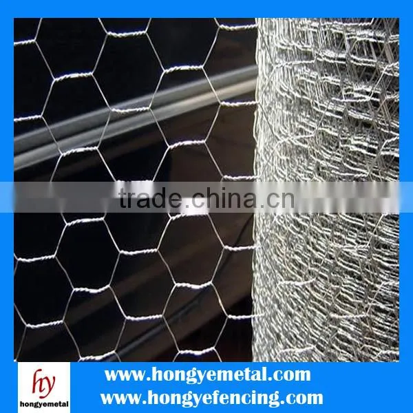Chicken Wire Cage Mesh/Galvanized Square Chicken Wire Mesh/Fencing For Sale Chicken Wire photo-5