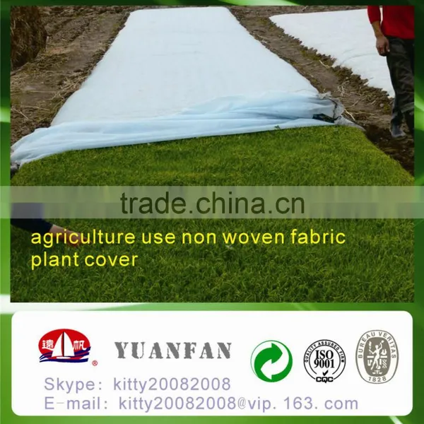 UV Treated PP Spunbond Non Woven Fabric for Plant Cover / Ground Cover / Tree Cover / Tomato Cover photo-4