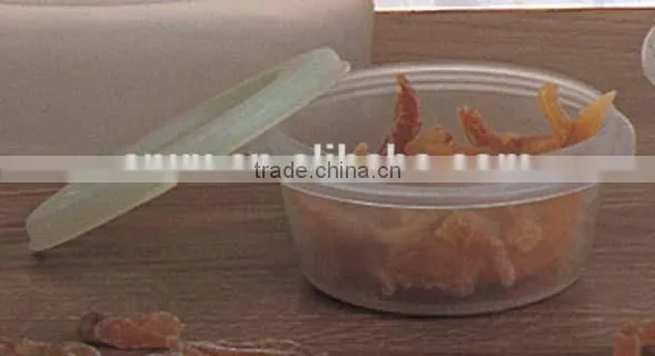 Food Storage Container photo-4