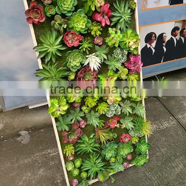 Indoor Decoration Artificial Mini Succulent Plants Wall photo-4