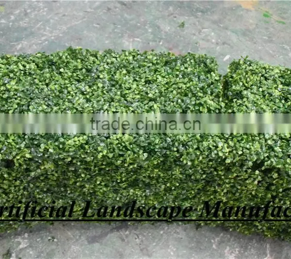 Artificial New Style Boxwood Hedge Ornaments Type and Plastic Material Grass Mat photo-3