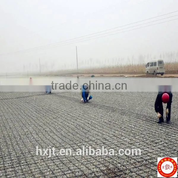 PP Biaxial Geogrids for Reinforcement and Stabilization Biaxial Plastic Geogrids photo-3