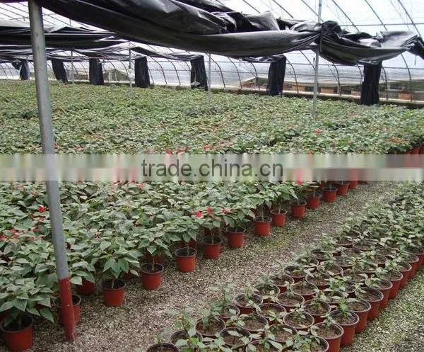 Simple Soft Wholesale Plastic Garden Flower Pot photo-3