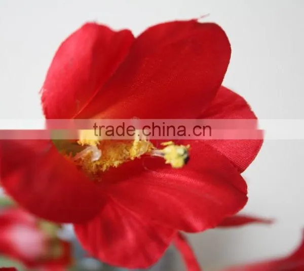 Natural Clivia Fabric Clivia Decorative Clivia Artificial Clivia Flower for Wholesale photo-2