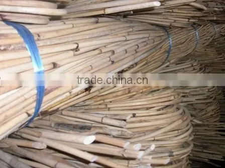 Raw White Pahang All Size Cane photo-5