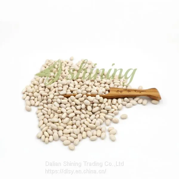 2018 Crop Japanese White Kidney Bean