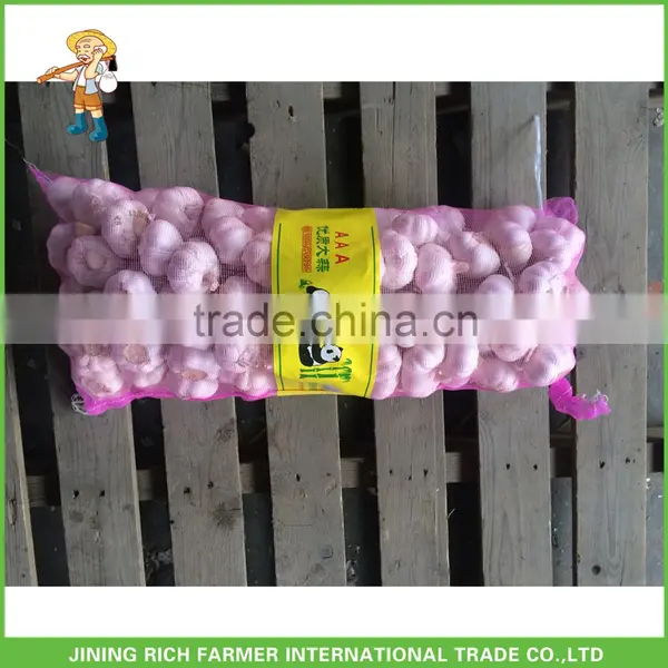 Pure White Garlic, Super White Garlic, Snow White Garlic 600G 700G 800G 7Kg 8Kg Mesh Bag For Kuwait