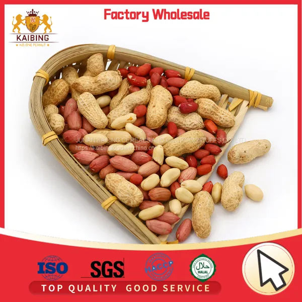 HIGH QUALITY BLANCHED PEANUT KERNELS 29/33 BY JUNAN KAIBING photo-3