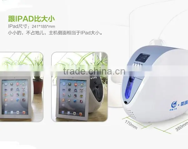 Portable Oxygen Concentrator Generator 90% Purity 1L/min 24Hr photo-5