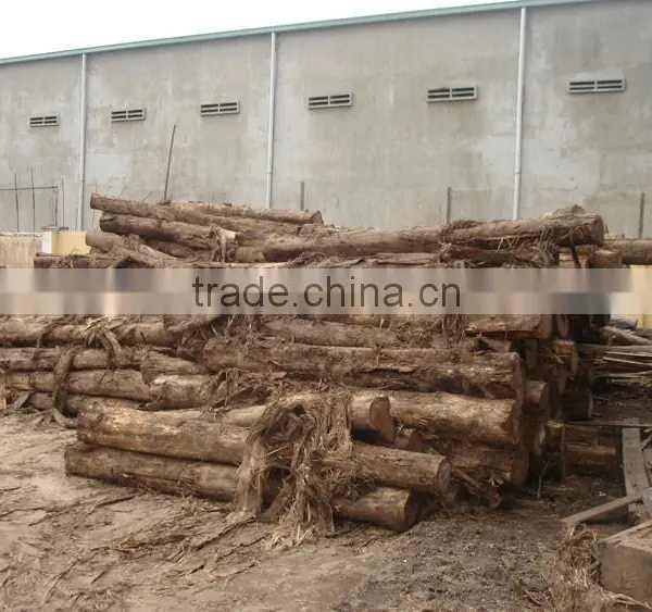Eucalyptus Sawn Timber - Dried Timber - Low Price High Quality photo-2