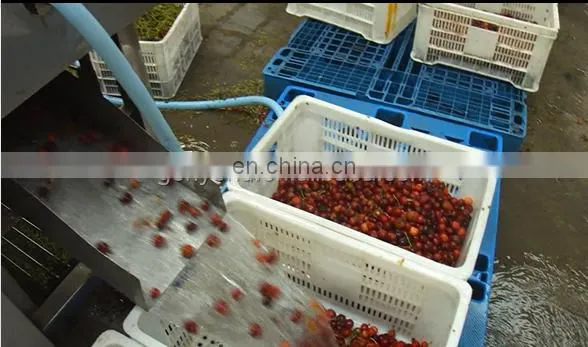 Cherry Stem Stalk Removing Machine Cherry Pitting Machine for Cherry Process Machine photo-5